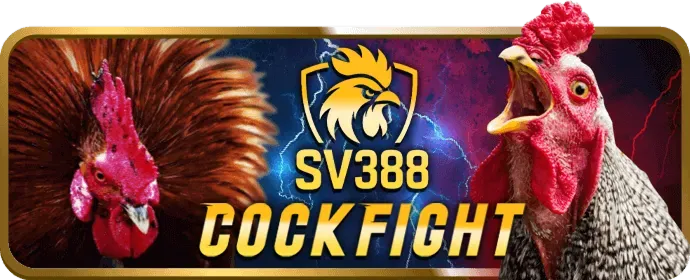 Phần thưởng độc quyền cho thành viên VIP vn88pro code